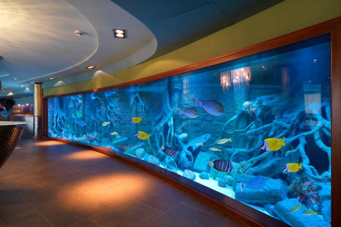 11 meters long sea water aquarium